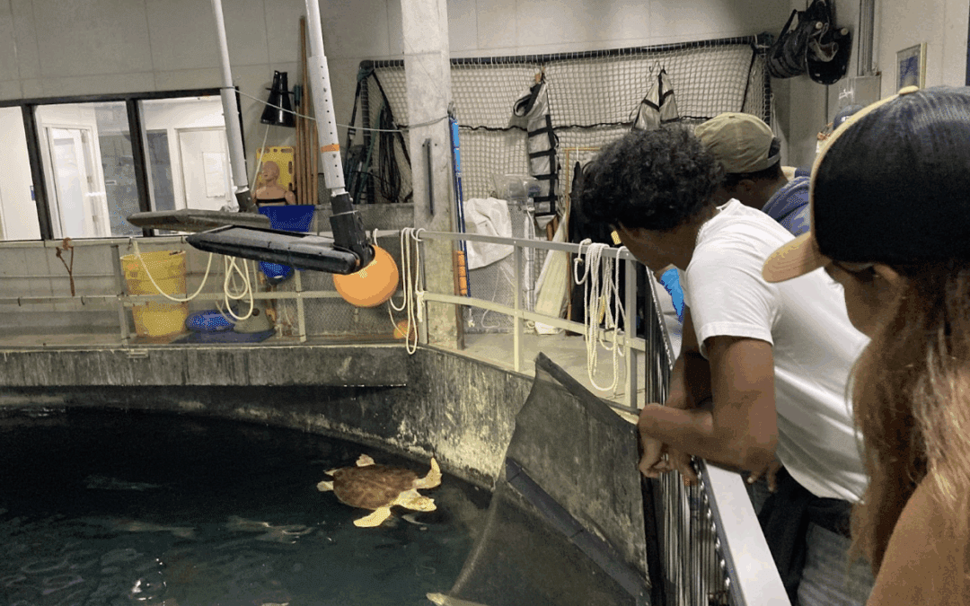South Carolina Aquarium, Coastal Expeditions Foundation, LEAP, Coastal Expeditions Interns